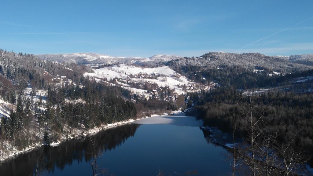 Rezydencja Prezydenta Rp Zamek W Wisle Visla Exteriér fotografie